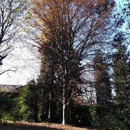 Apartment Helios - Centre, Lake, 10' Car - Free Parking Self Check-in Airco Varese